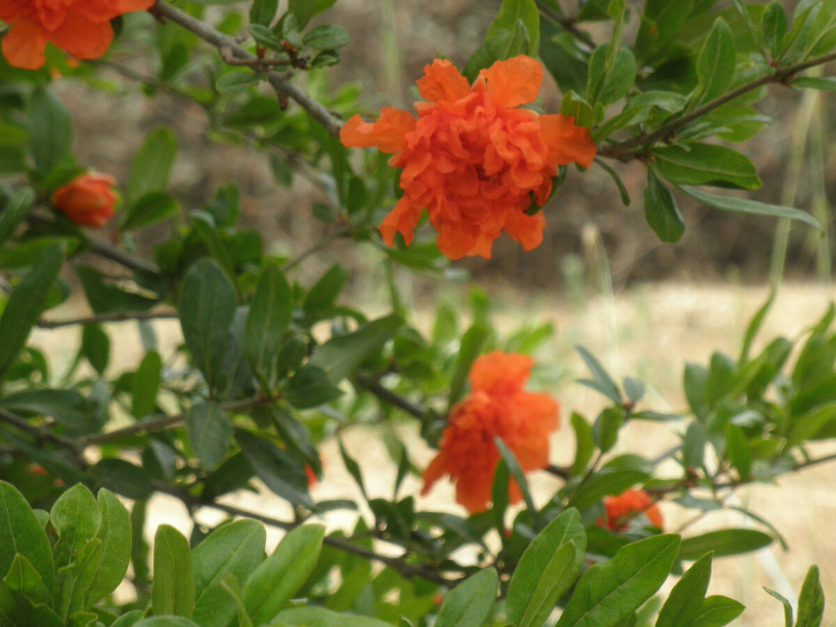 Все фотографии авторские ©AzurevaMarinaBOOKS