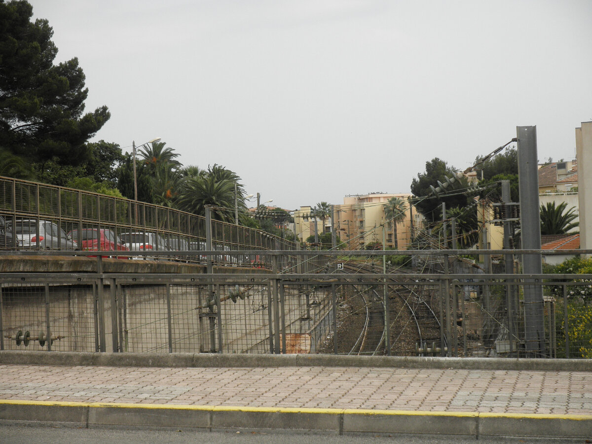 Все фотографии авторские ©AzurevaMarinaBOOKS