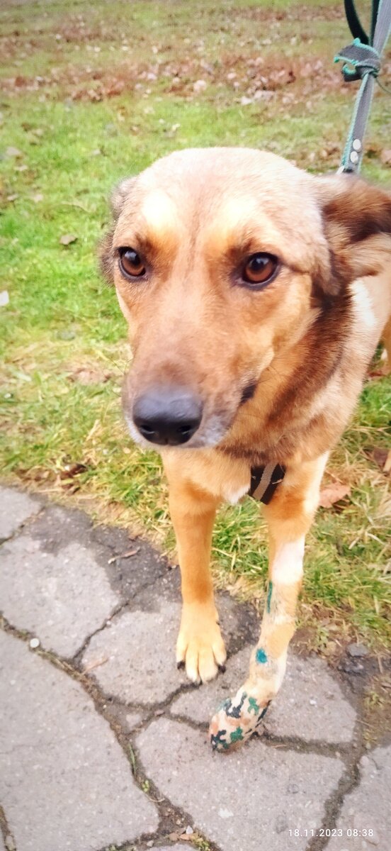 Дариша держись! У тебя всё получится! 