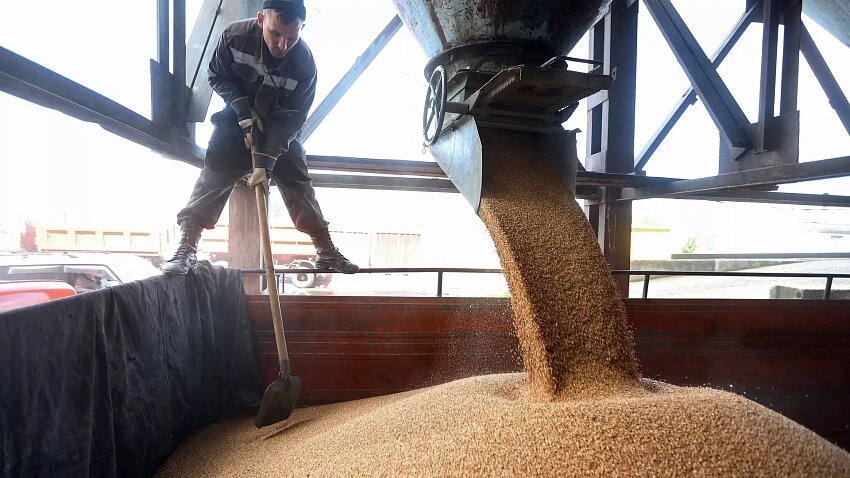 Фото: © Sputnik / Игорь Агеенко