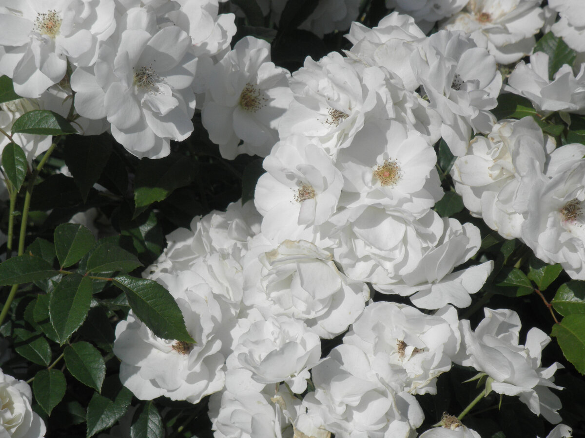 Все фотографии авторские ©AzurevaMarinaBOOKS