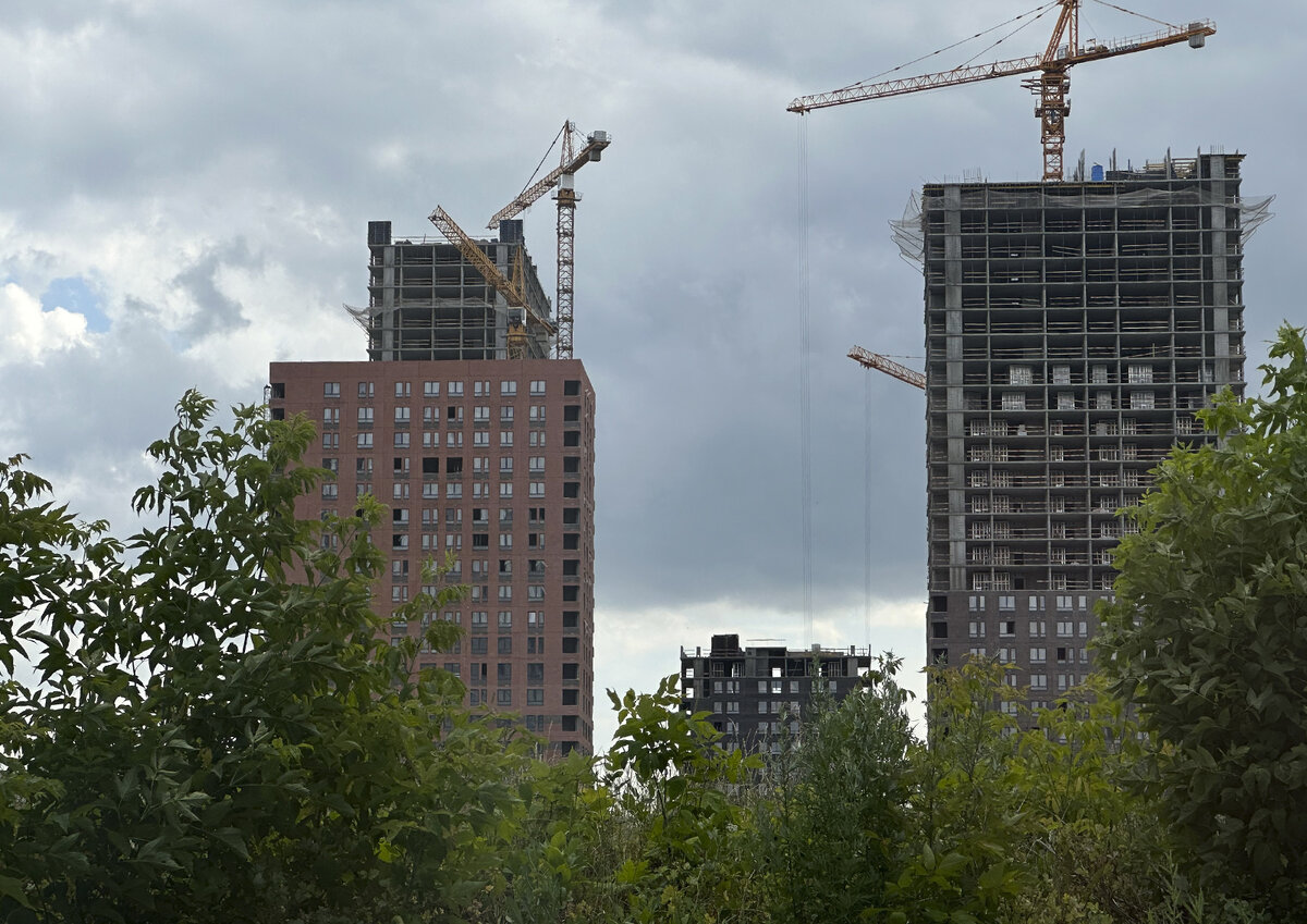 Фото: Московские Ведомости