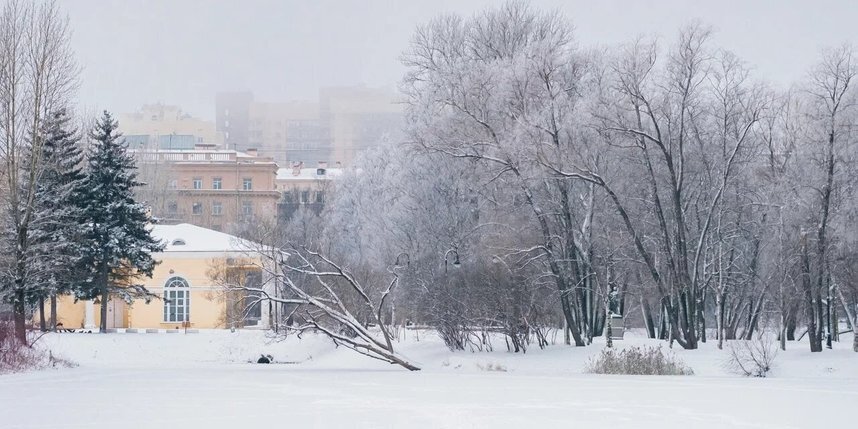    Фото: Алена Бобрович.