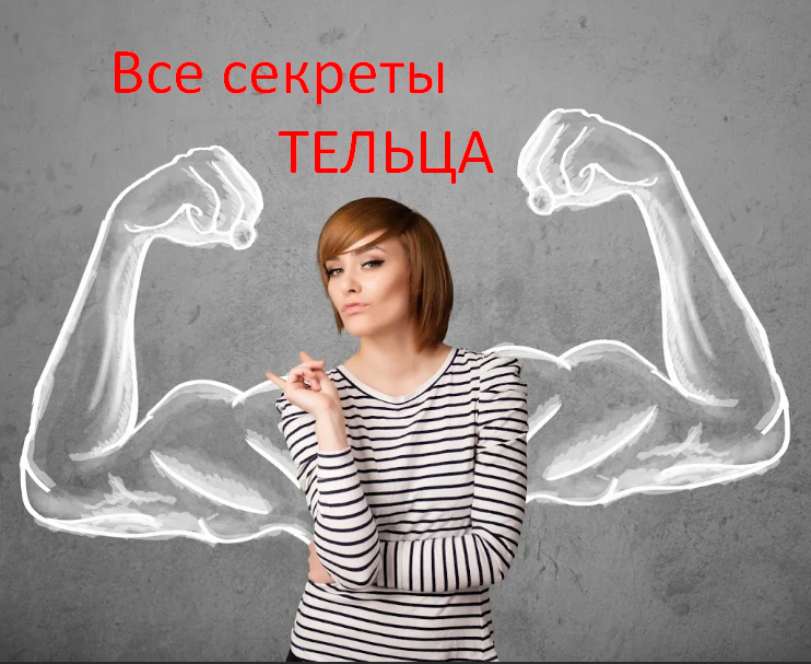 Галерея на открытом воздухе. Фотовыставка уличное пространство. Автокинотеатр крокус экспо. Фестиваль уличного кино «кино на воде» тутаев. Уличный кинотеатр.