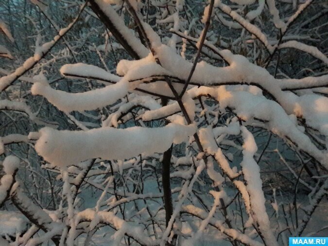 Добавьте описание