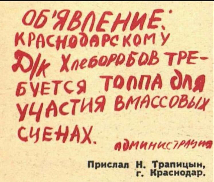 Нарочно не придумаешь рассказы на дзен. Нарочно не придумаешь крокодил.