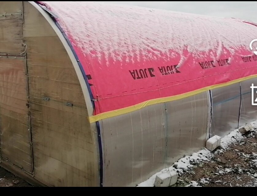 Моя фотография.