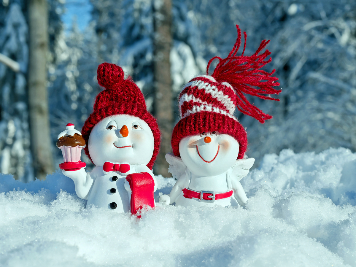 зимнее настроение. счастья и здоровья в новом году. доброе снежное утро. будет добрым и удачным этот новый год. доброе морозное утро.