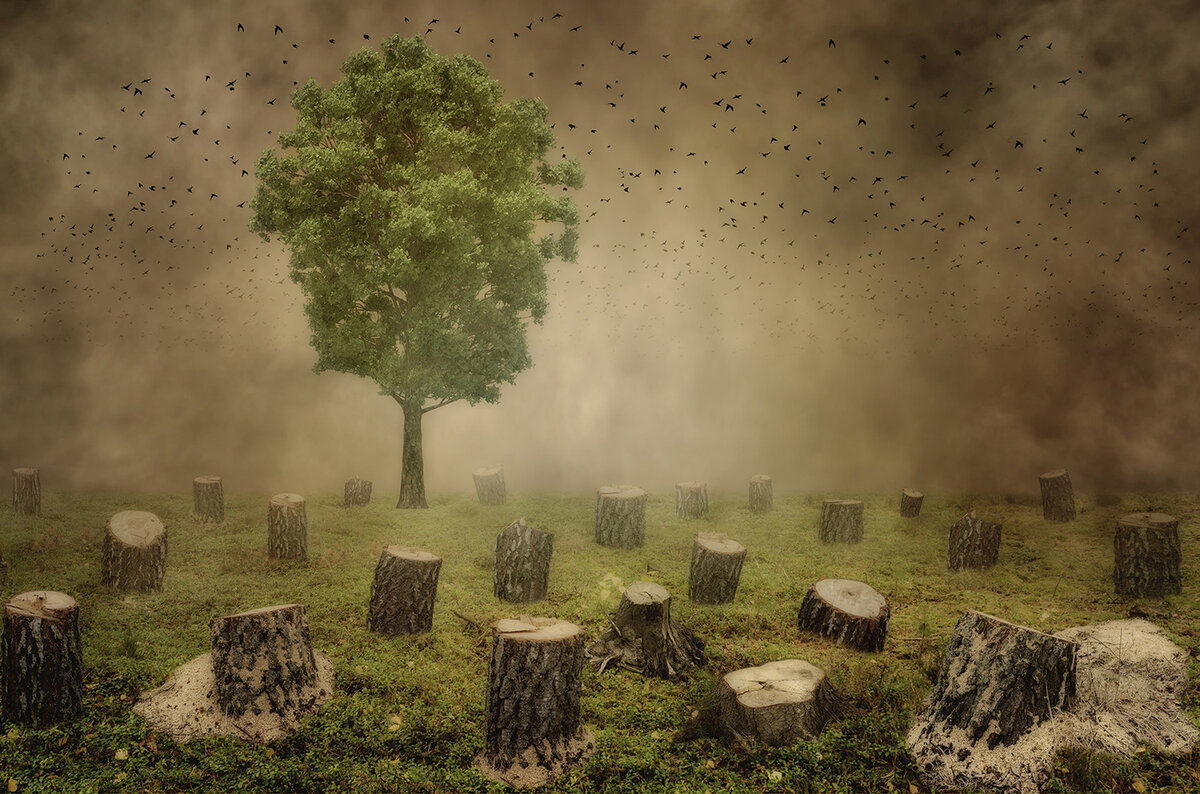 КОГДА БУДЕТ СРУБЛЕНО ПОСЛЕДЕЕ ДЕРЕВО