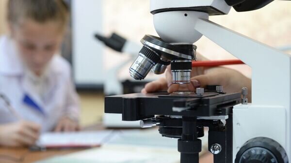    © Sputnik / Сергей Пятаков