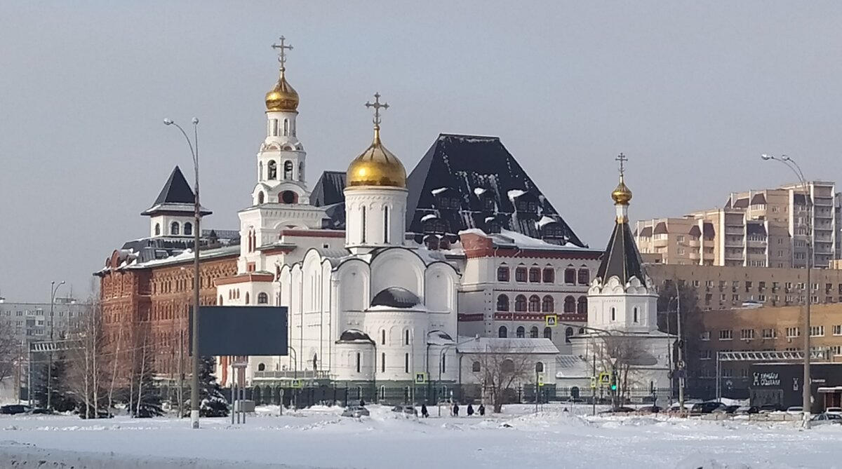 Поволжский православный институт, он же Поволжская академия Святителя Алексия.