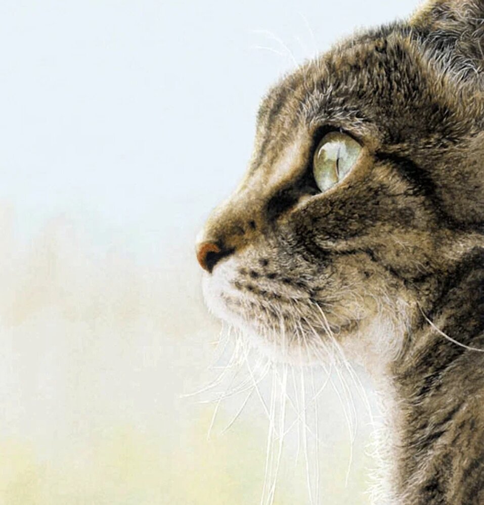 Взгляд. Художница Сьюэллен Росс