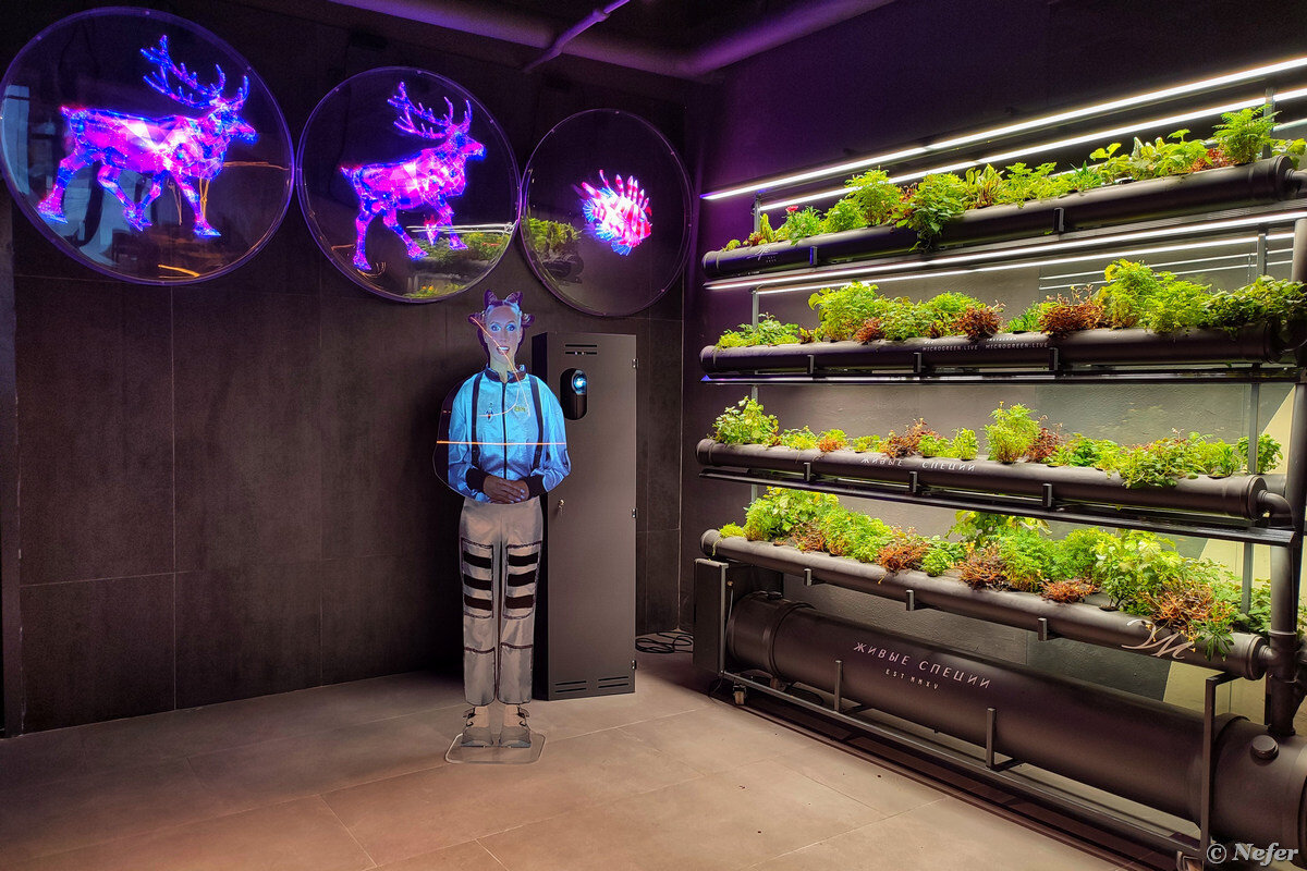 павильон атом этажи. павильон 19 на вднх. павильон главвино вднх. павильон атом вднх новый. павильон росатома на вднх.