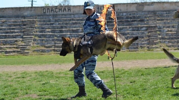 Показательные выступления. Я и Юна