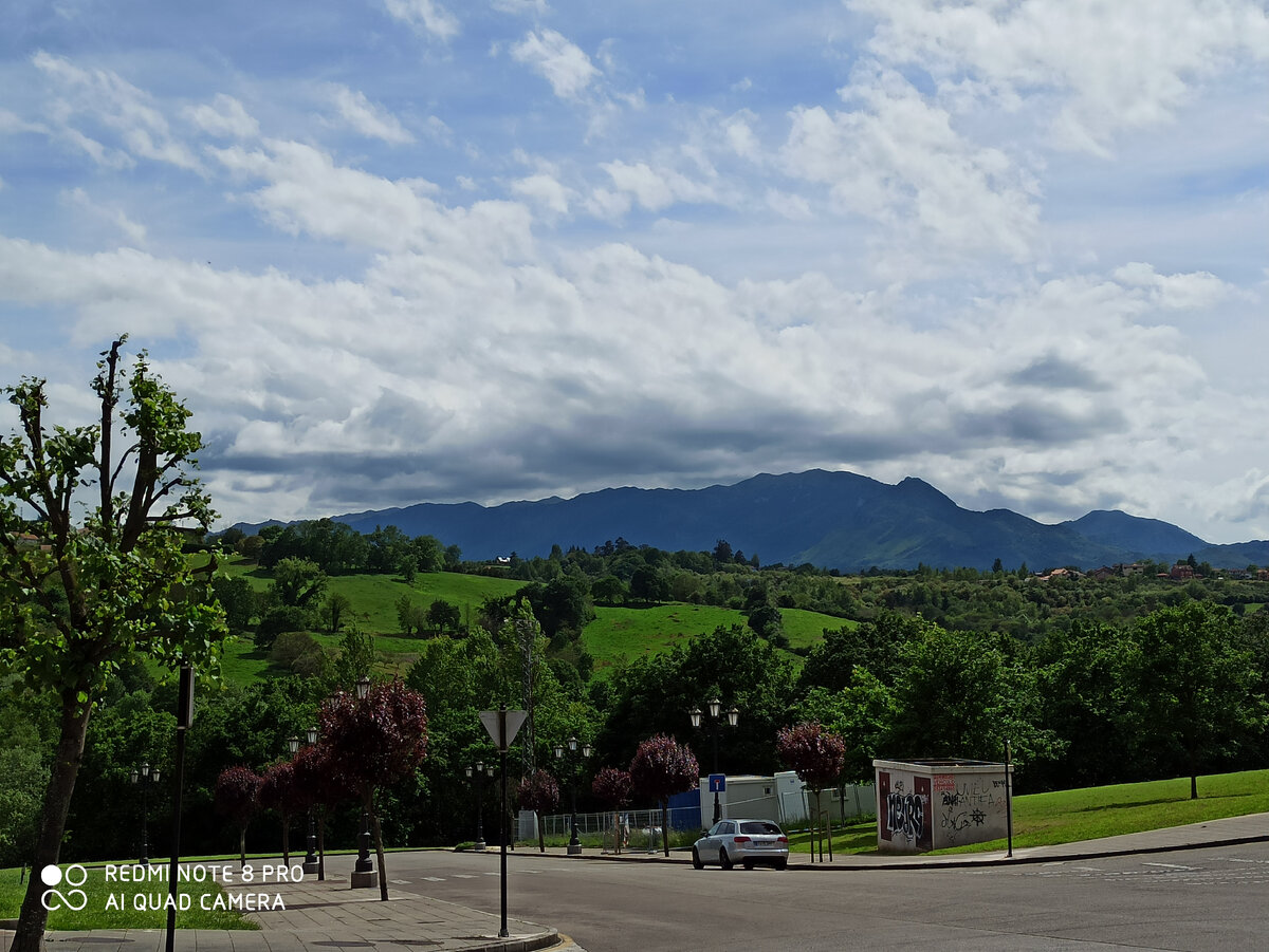 Авторское фото