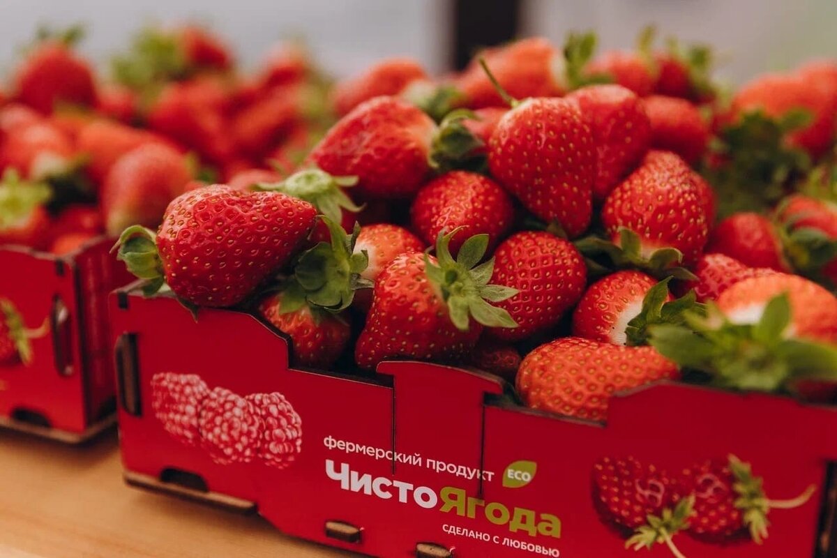 Крупный производитель ягод в Ленобласти через суд запустил процедуру своего банкротства.