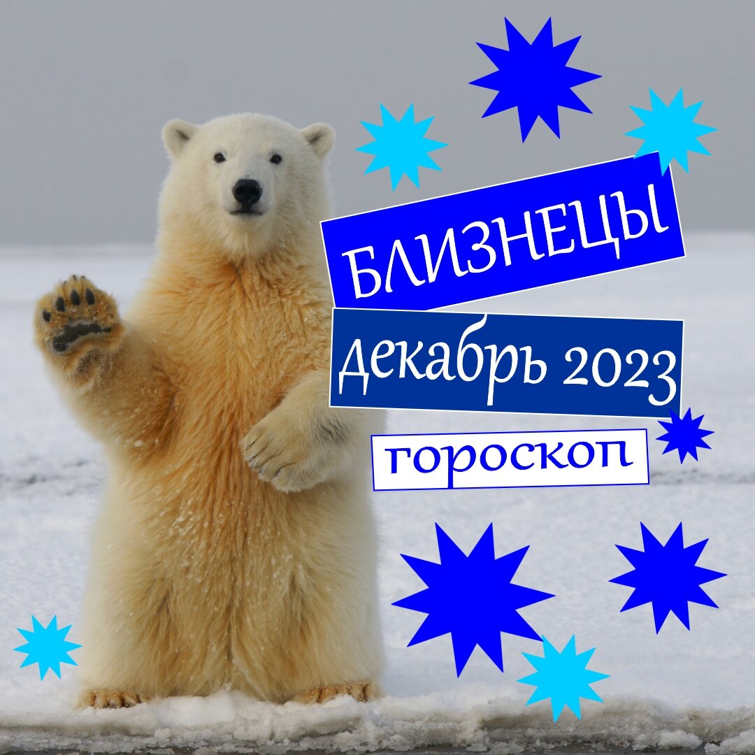 Близнецы. Гороскоп на декабрь 2023: деньги, любовь, работа, здоровье |  Гороскопы от Астролога | Дзен