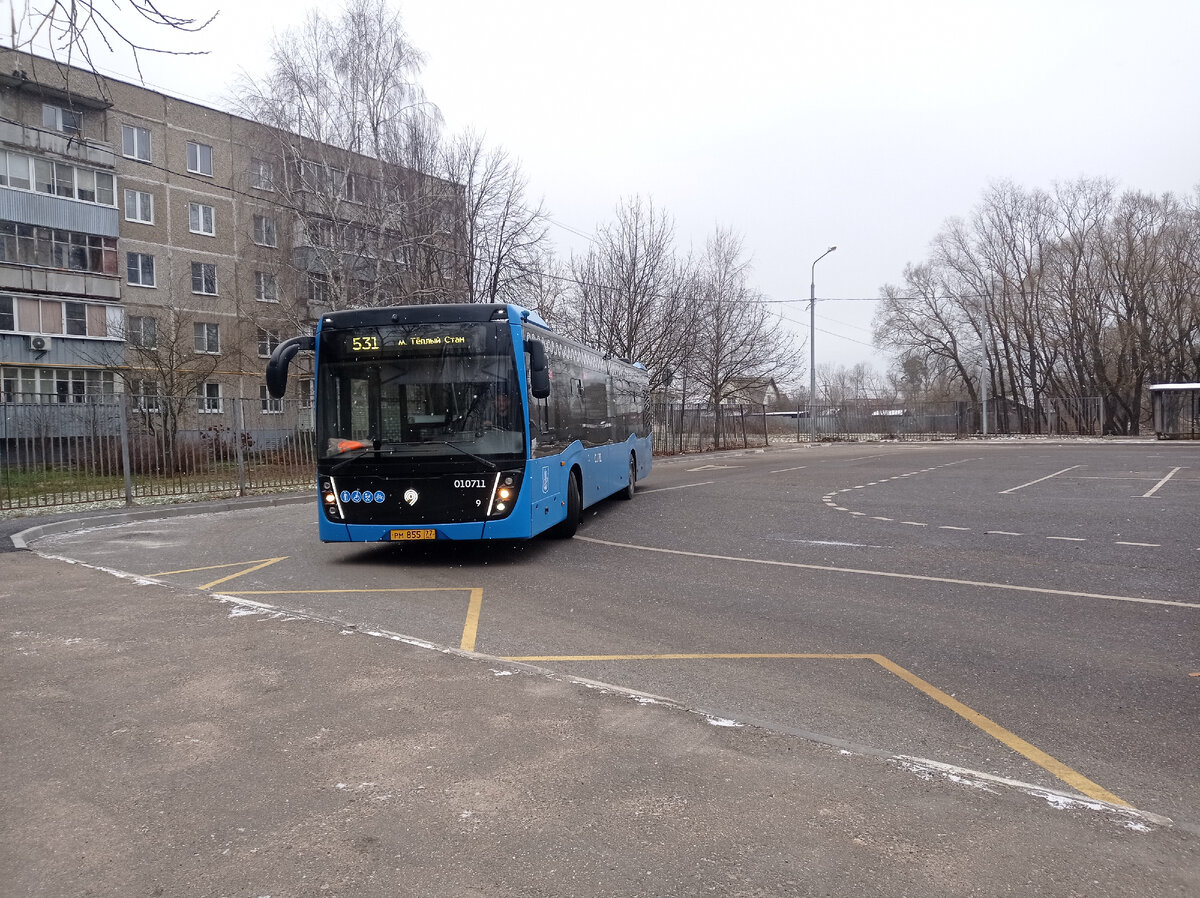 Москва малоизвестная: село Клёново. Белоснежный храм, руины усадьбы, яркие  домики, котики, речка Моча и ещё | Уникальная Россия | Дзен