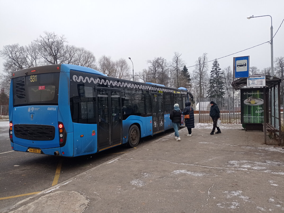 Московский автобус 531 маршрута "Метро Тёплый Стан - Усадьба Клёново". Клёново, Москва. Фото автора статьи 