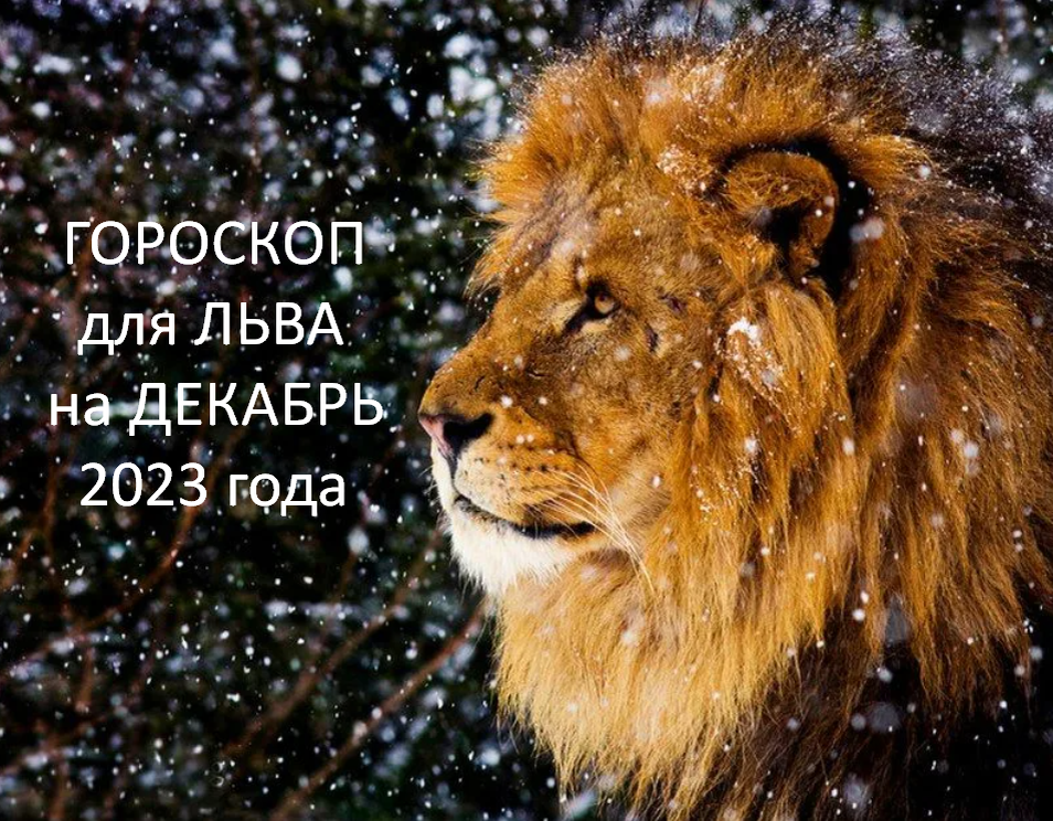 Фото из открытого источника