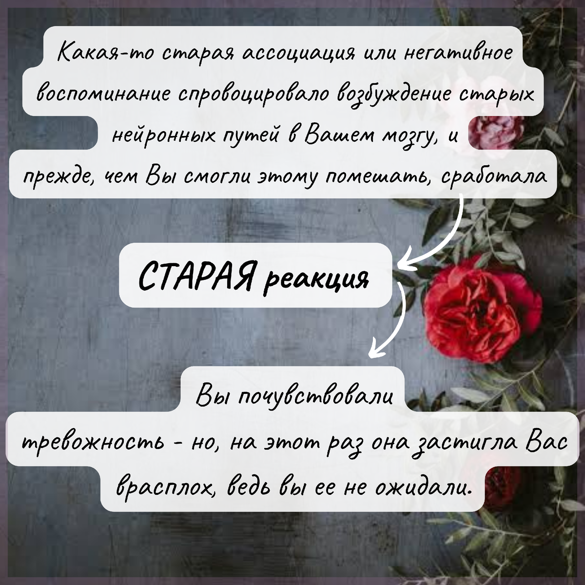 Как преодолеть рецидивы и срывы в тревожных расстройствах и расстройстве пи...