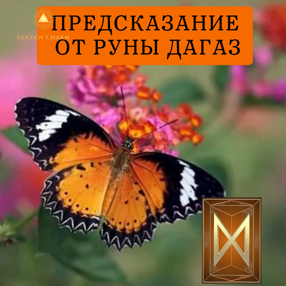 Бабочка с яркими крыльями. Яркие бабочки. Красивые бабочки. Бабочки в природе. Прекрасная бабочка.