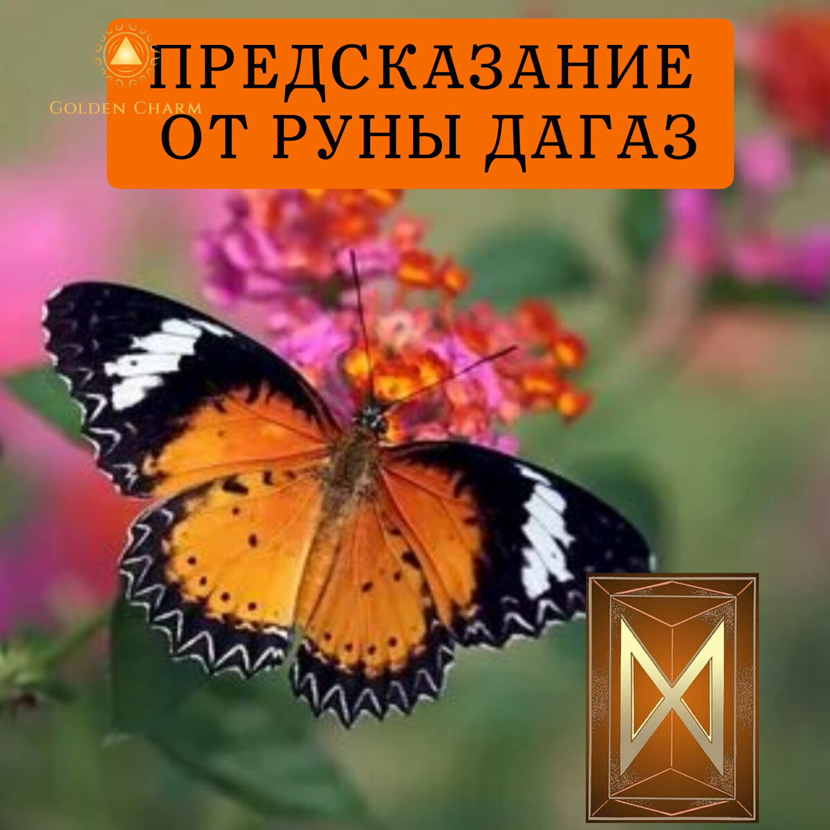 Радужная бабочка в природе