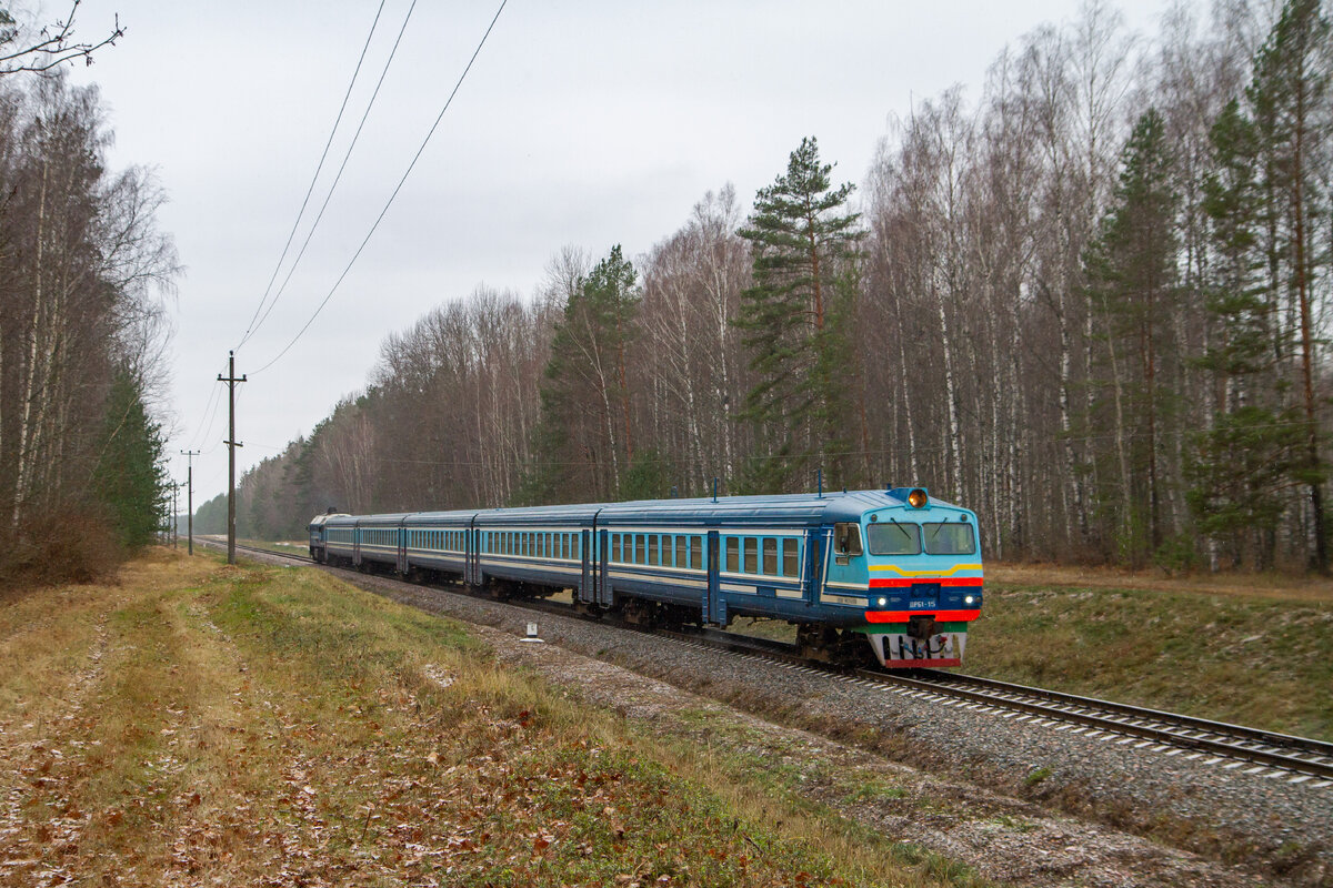 Поезд осиповичи слуцк. Дизель Могилев Лотва.