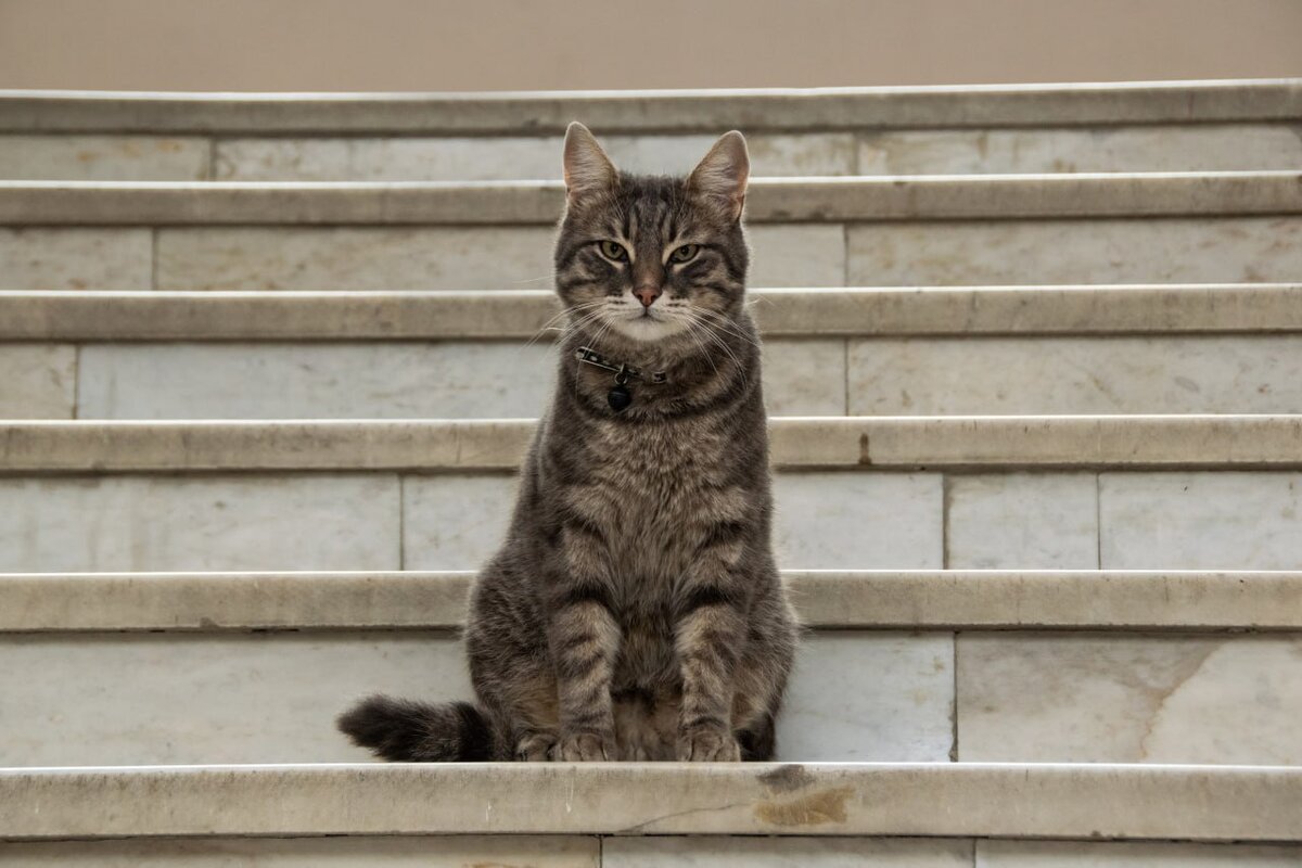 С таким сотрудником за администрацию города можно не переживать.