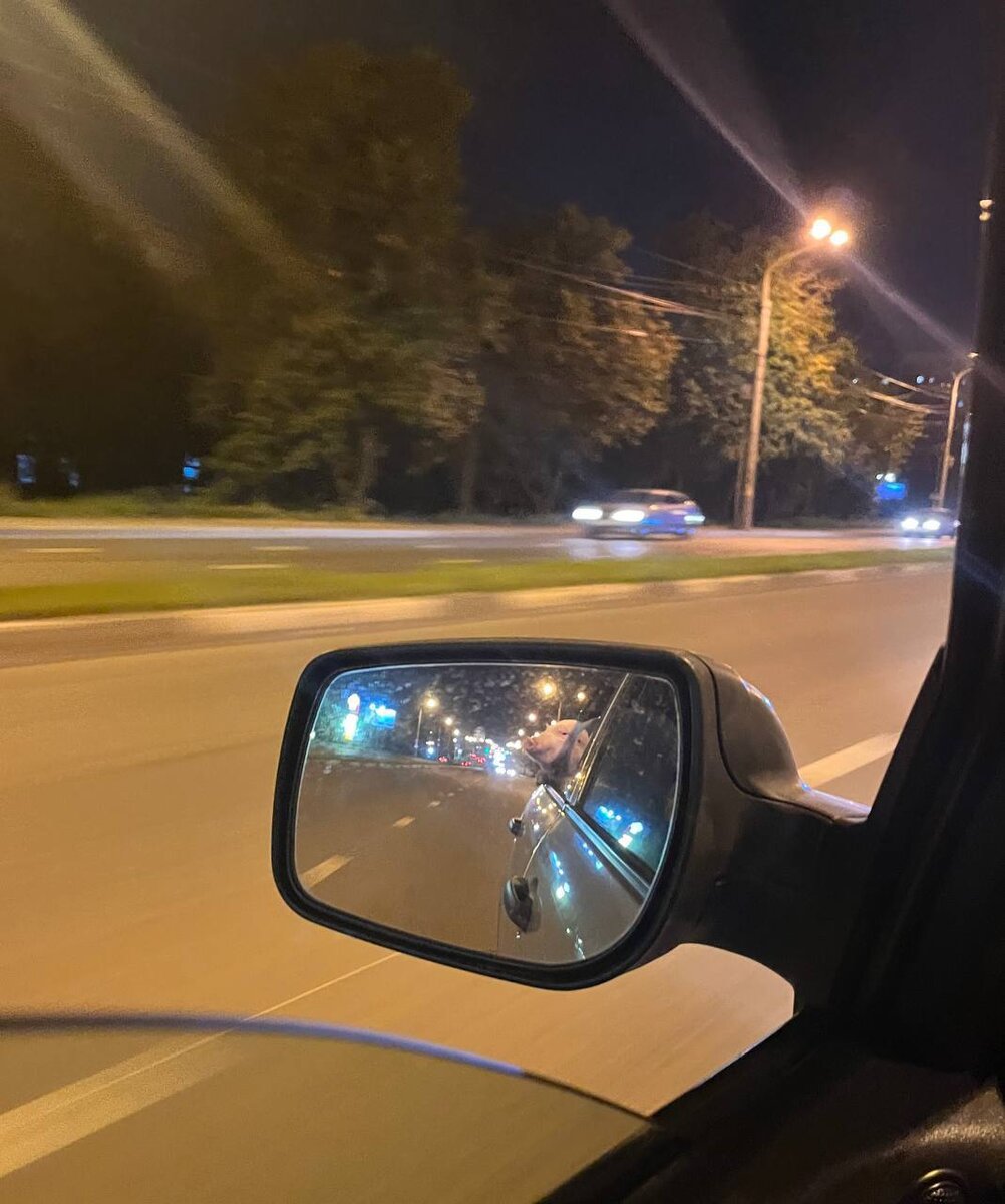 Источник: https://t.me/lipetsk001/3039