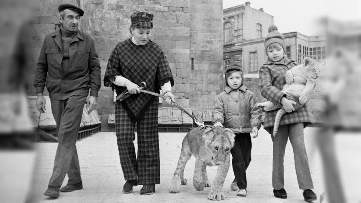 семья держала льва