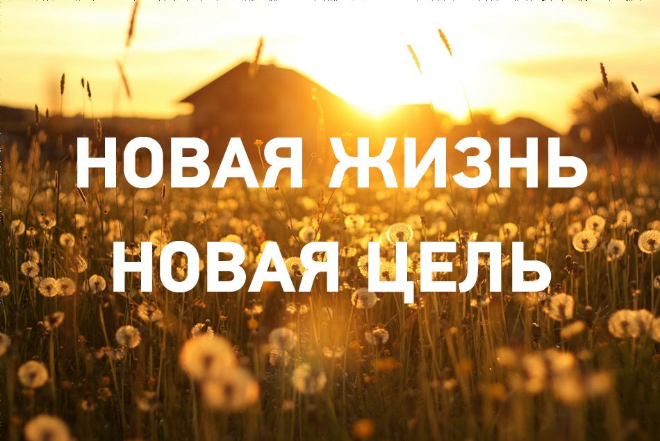 Сегодня начинается новая жизнь. Новая жизнь картинки. начинается новая жизнь. начало новой жизни. здравствуй новая жизнь.