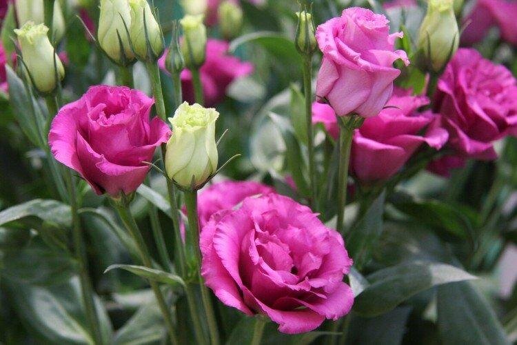 надолго задержался он в гостях