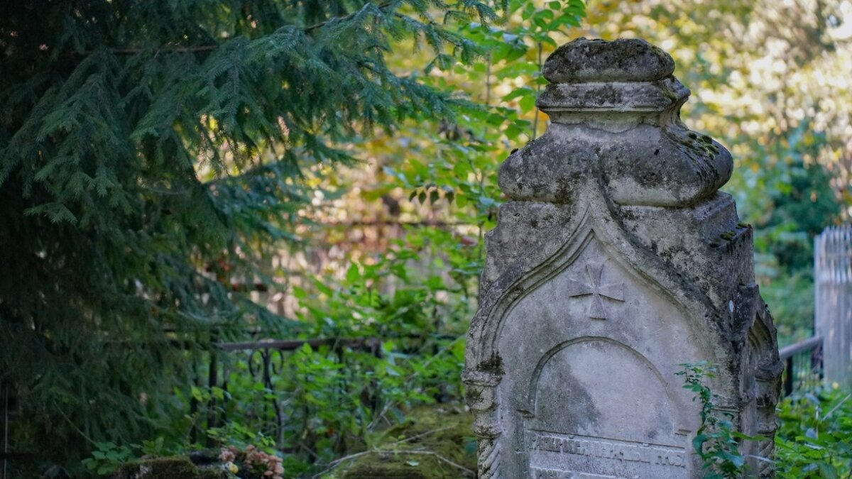 Светлана Мулыкина📷
