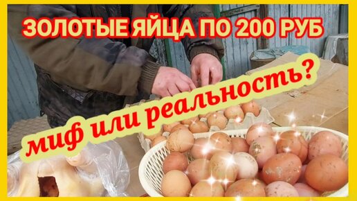 Миф или реальность? Цена на яйцо растёт как на дрожжах, а мясо птицы на с/х рынке стоит на месте. Где справедливость?