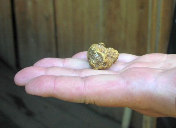 (фото: газета "Присаянье")