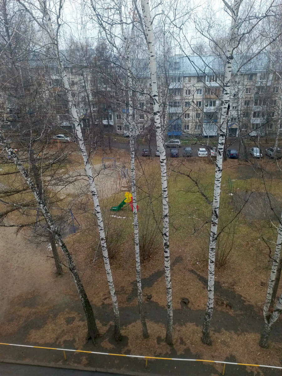 Такая вот гадость за окном была целую неделю 