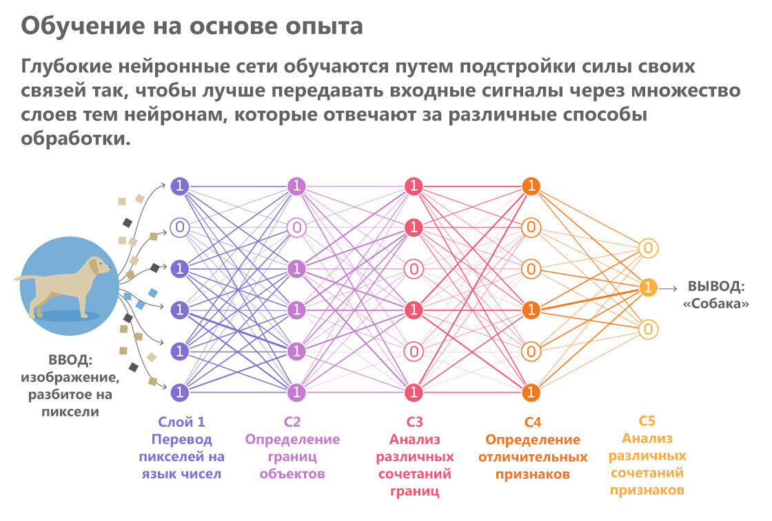 Решить тест нейросетью. Искусственный интеллект схема нейросети. Принцип работы нейронной сети. Принцип функционирования сети нейронные. Искусственные нейронные сети распознавание
