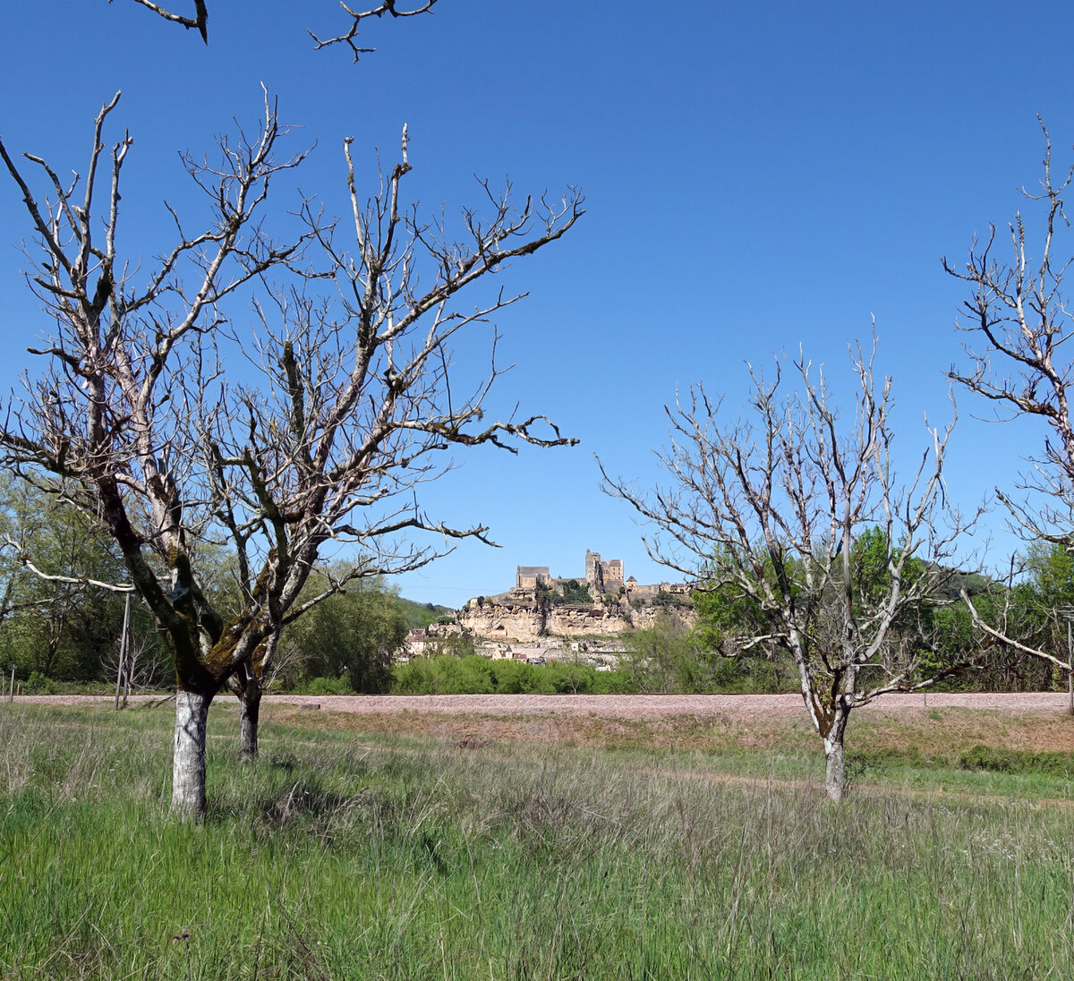 Средневековый замок Бейнак (фр. Сhâteau de Beynac). Дордонь. Франция. Все фото автора.