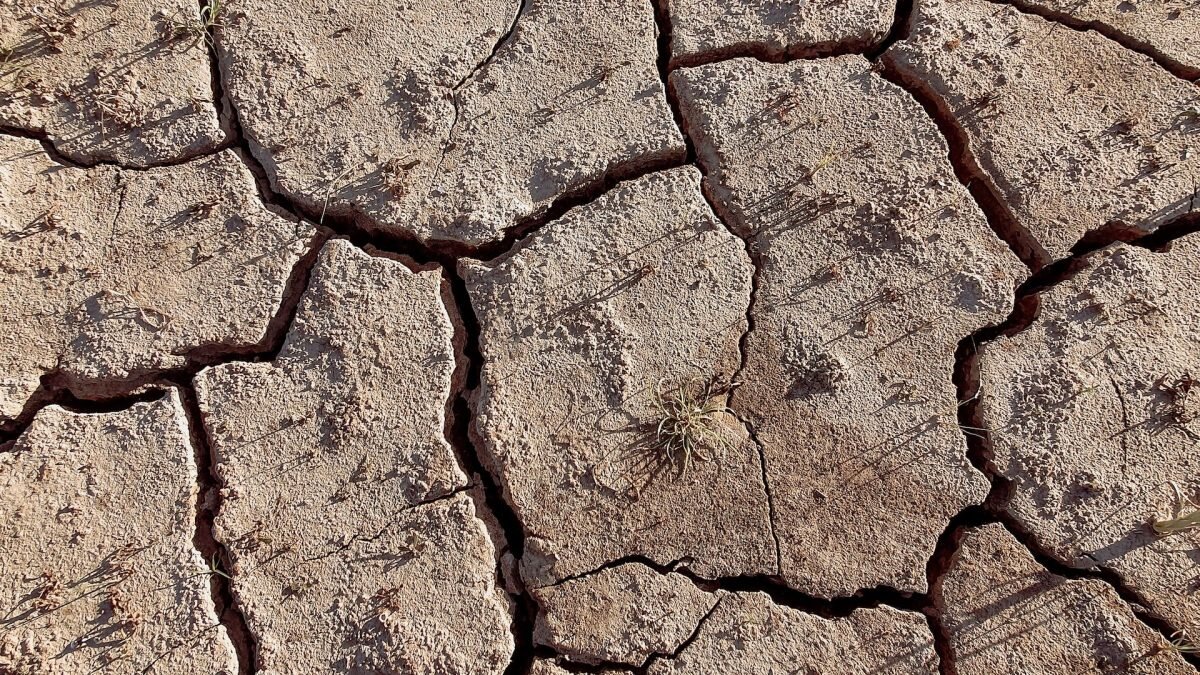    Фото: unsplash.com. Август Макаров