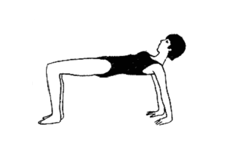 Упражнение черепашка. Гимнастическое упражнение черепаха. Упражнение черепаха на спине. Упражнение черепашка для спины.