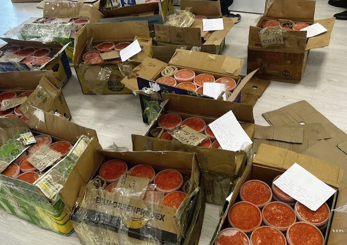    Почти 40 тонн рыбы и более 500 кг икры без документов изъяли в Приморье