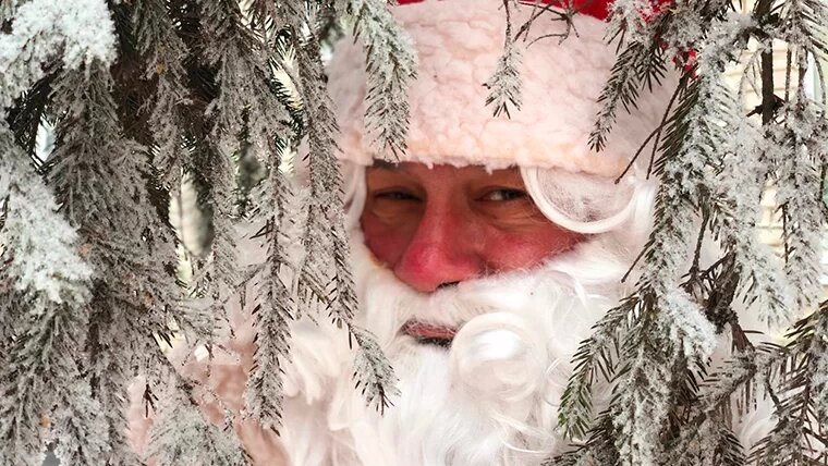    Дед Мороз // Фото: архив НТР