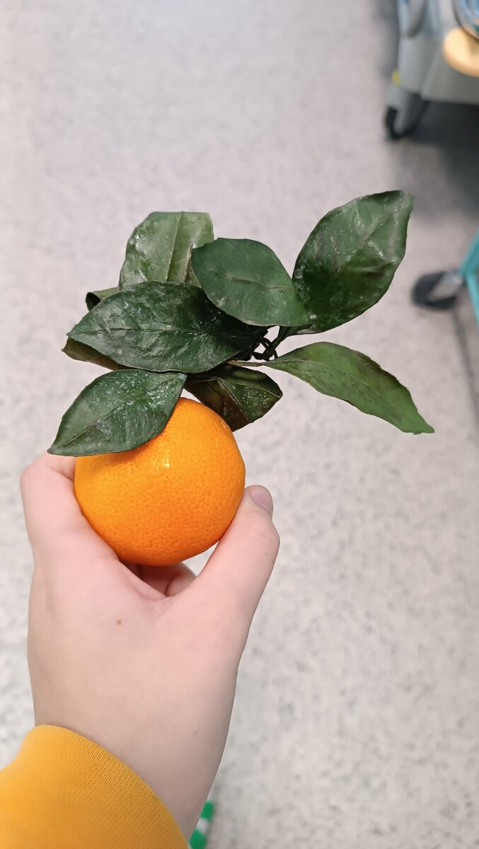 Мандарин, я знаю что он не относится к тексту 