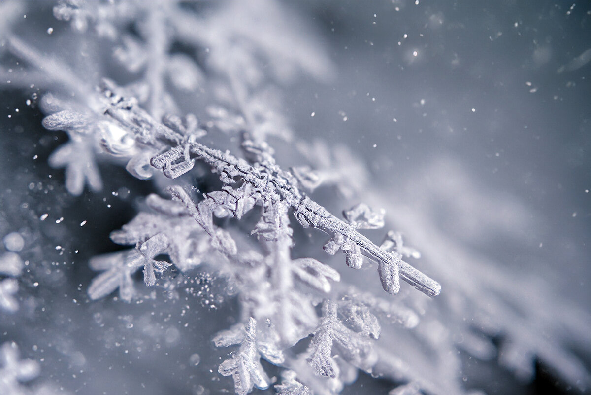 Фотографии, на которых изображены детали снежинок, часто вызывают ощущение хрупкости и ледяного холода. 