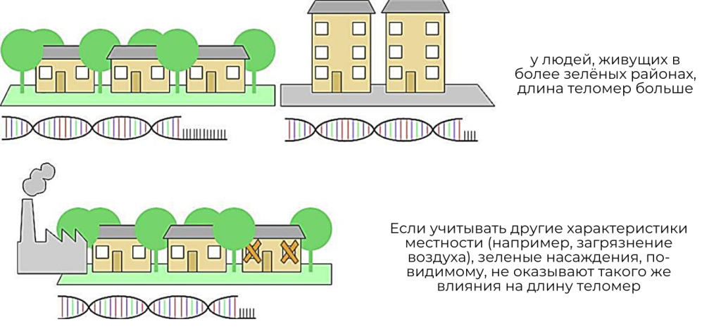 Фото: Science of The Total Environment