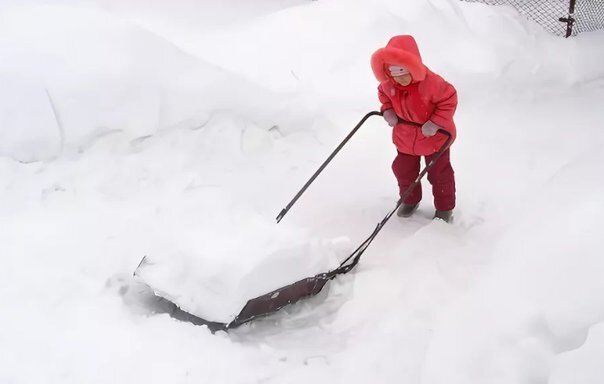 Должны ли воспитатели чистить снег