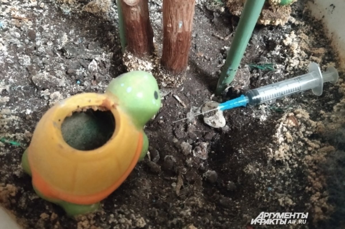    Ученики 23 школ Южного Урала попали в группу риска по наркозависимости