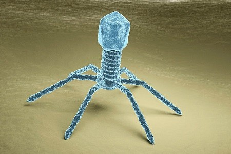 Иллюстрация: biomedcentral.com 