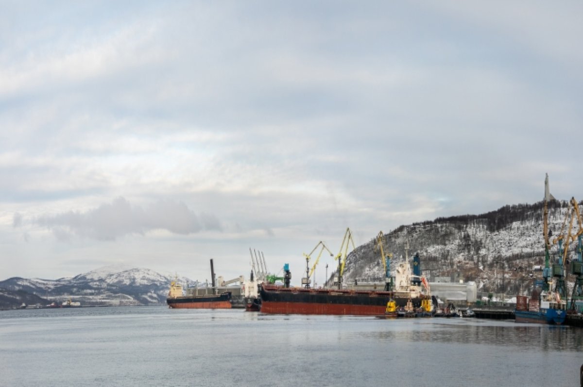    Торговый порт Мурманска нарастил объемы перевалки каботажных грузов
